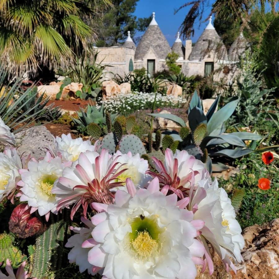Trullo Bosco Libero Ostuni Villa Kültér fotó