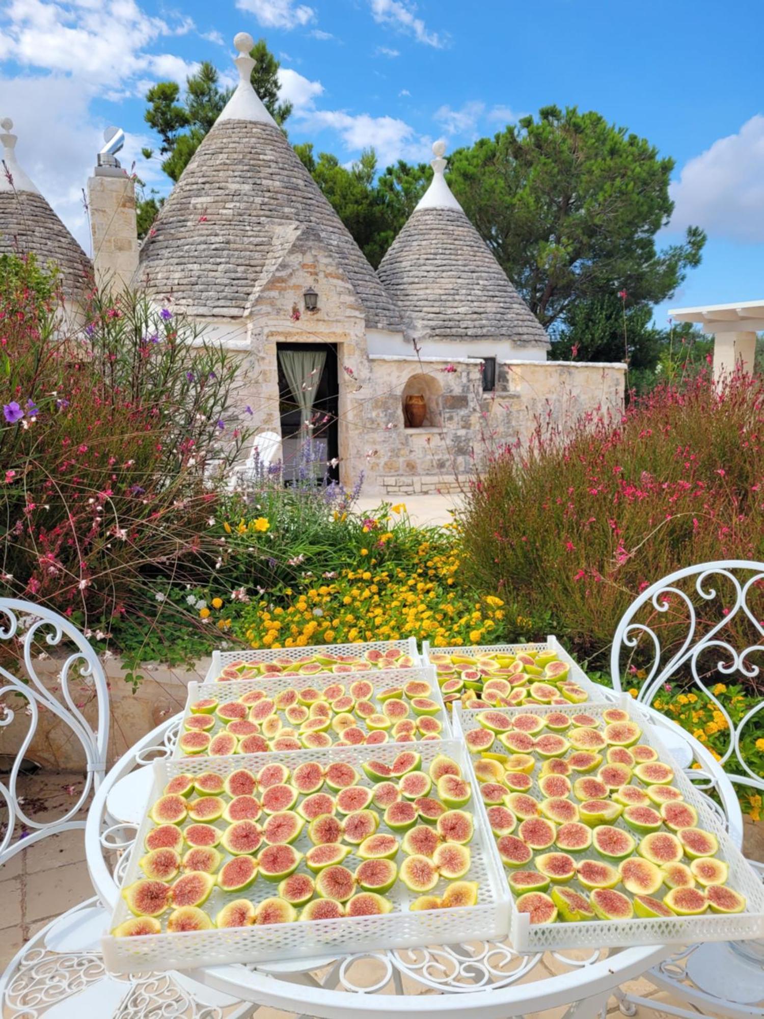 Trullo Bosco Libero Ostuni Villa Kültér fotó
