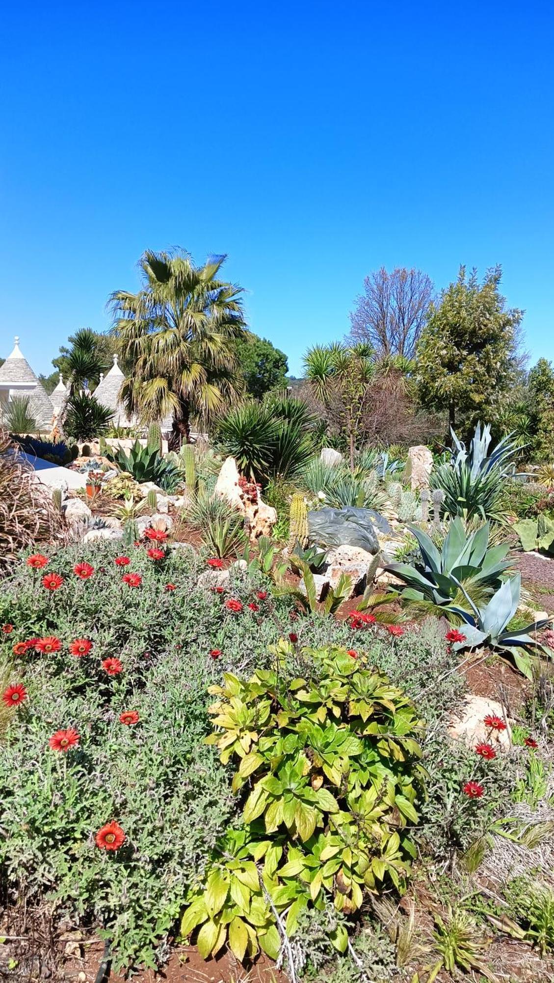 Trullo Bosco Libero Ostuni Villa Kültér fotó